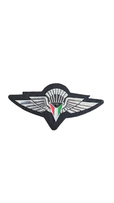 باج قوات المضليين