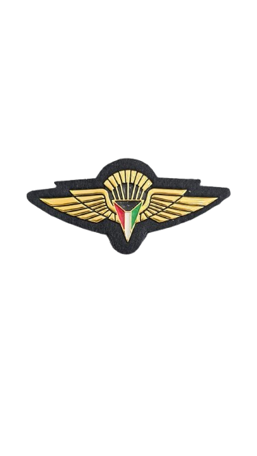 باج المضليين